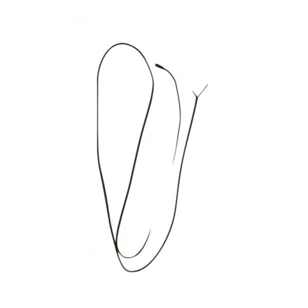 Reducteur M/L WARDA 10D